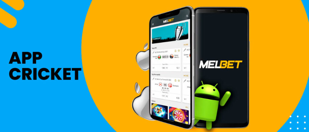 Features Melbet Cricket Betting